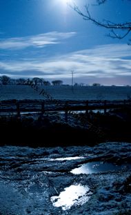 Blue Night